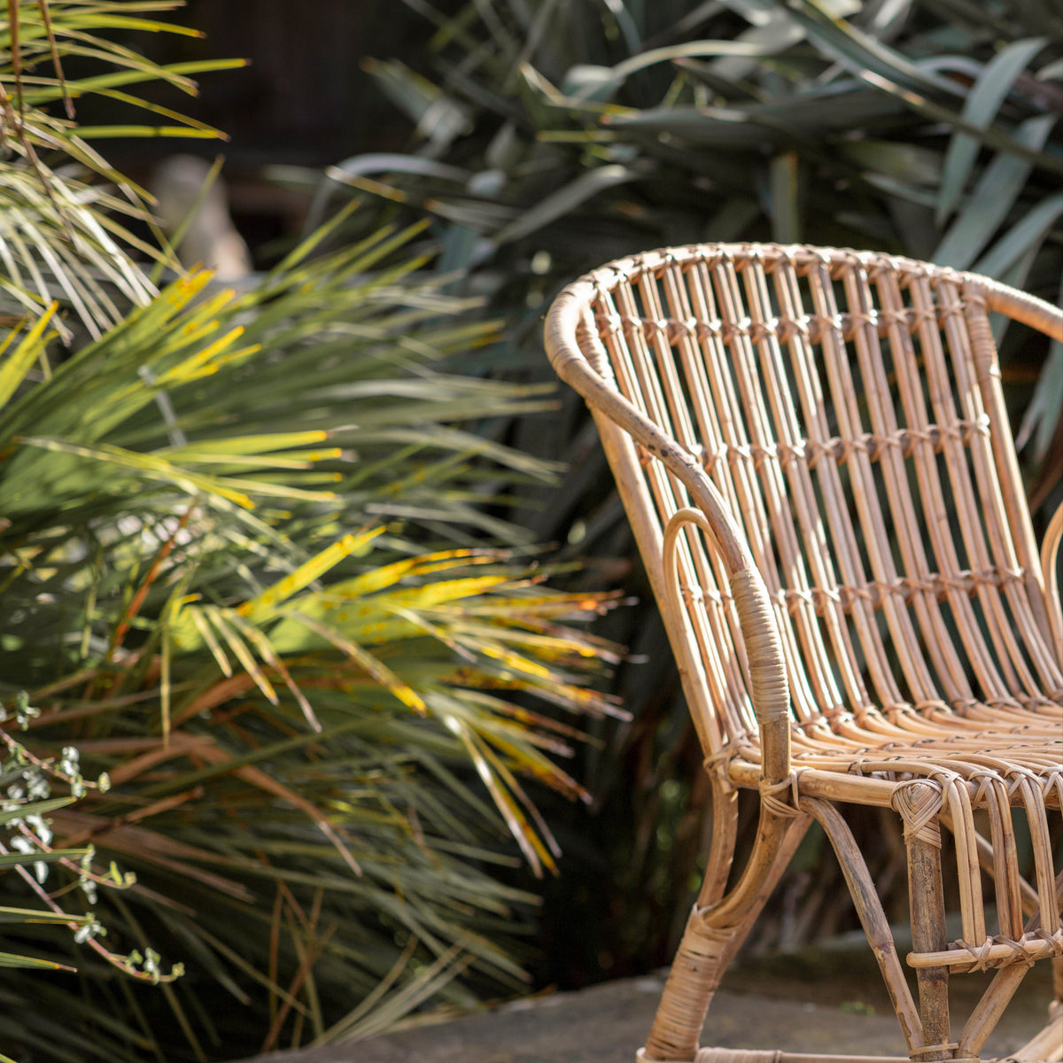 Ajaya Rattan Dining Chair - Natural