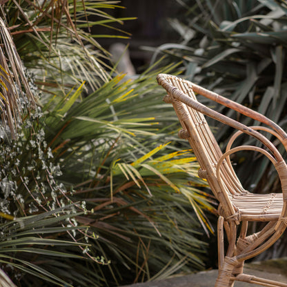 Ajaya Rattan Dining Chair - Natural
