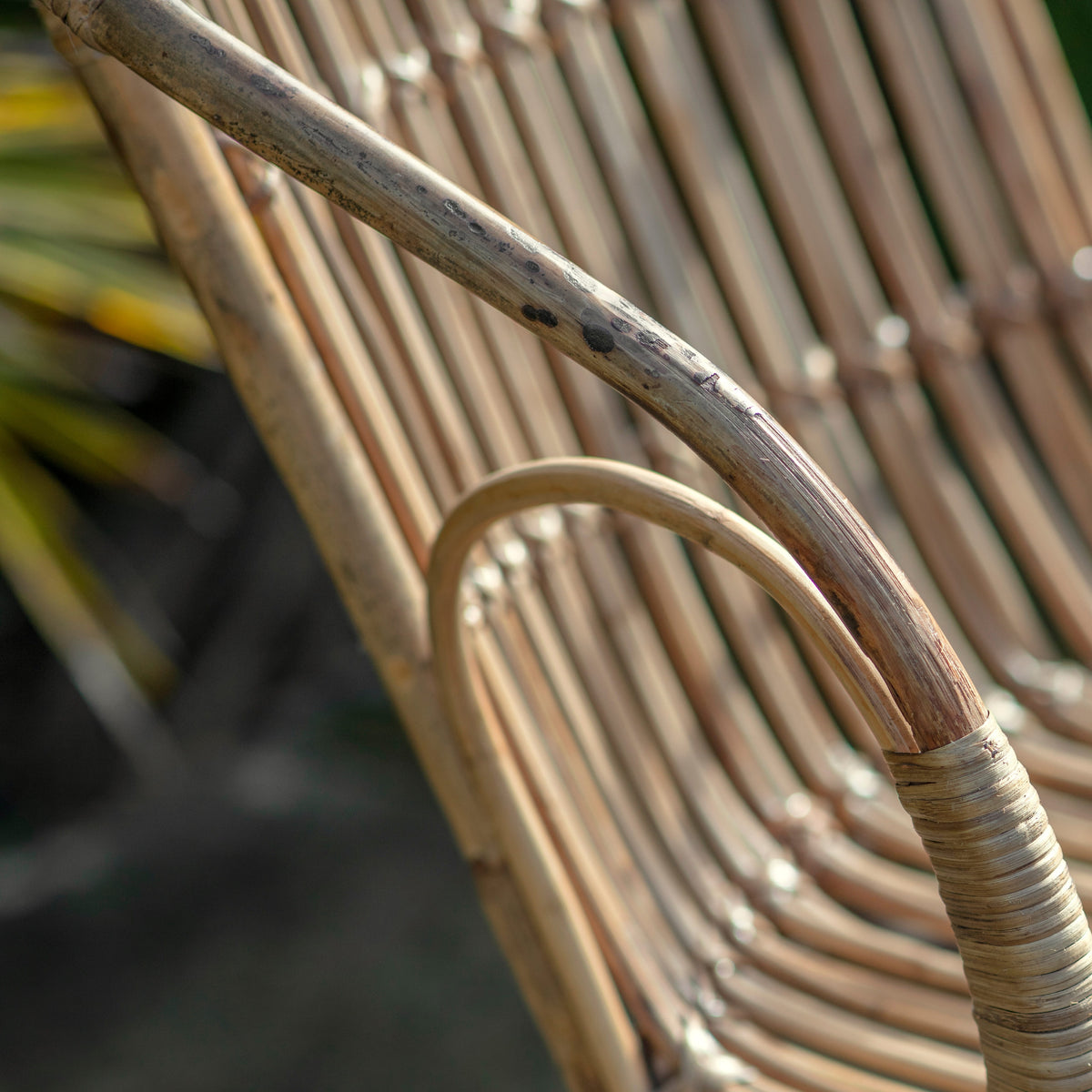Ajaya Rattan Dining Chair - Natural