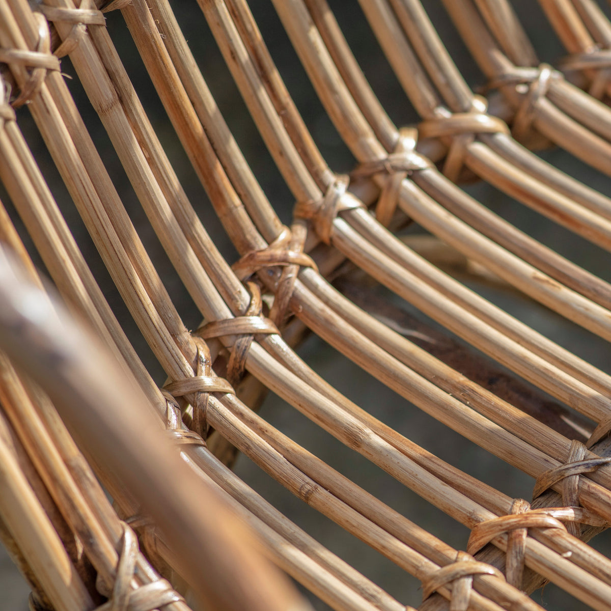 Ajaya Rattan Dining Chair - Natural