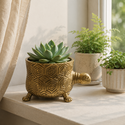 Tortoise Planter Pot | Brass Finish Indoor Succulent Holder