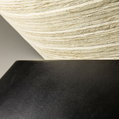 FARO_ Barcelona - TENDER Black ceiling lamp - 20094