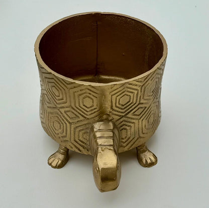 Tortoise Planter Pot | Brass Finish Indoor Succulent Holder